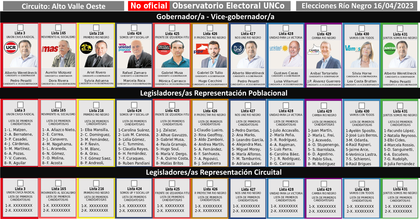 ELECCIONES PROVINCIALES RÍO NEGRO 2023 – Informe final